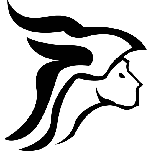 Minerva Elektronik Logo